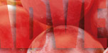 deutschland rebsorten rot