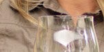 �sterreichische winzer