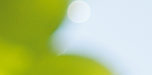 beaujolais blanc weinhandel