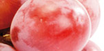 epesses rouge de rouge weinverkostung in der schweiz