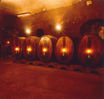 castello di ama vin santo del chianti direkt vom produzenten