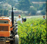 rheinhessen weinverkostung