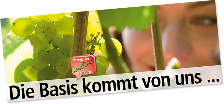 suchmaschinenoptimierung für wein